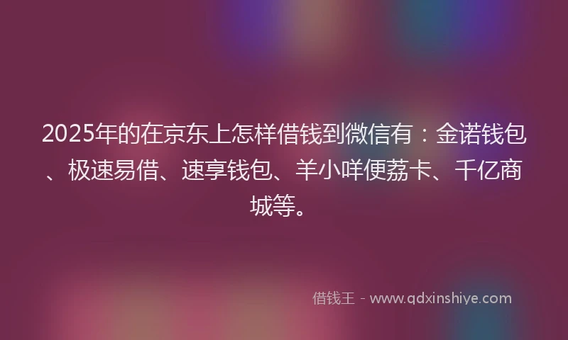 2025年的在京东上怎样借钱到微信有：金诺钱包、极速易借、速享钱包、羊小咩便荔卡、千亿商城等。