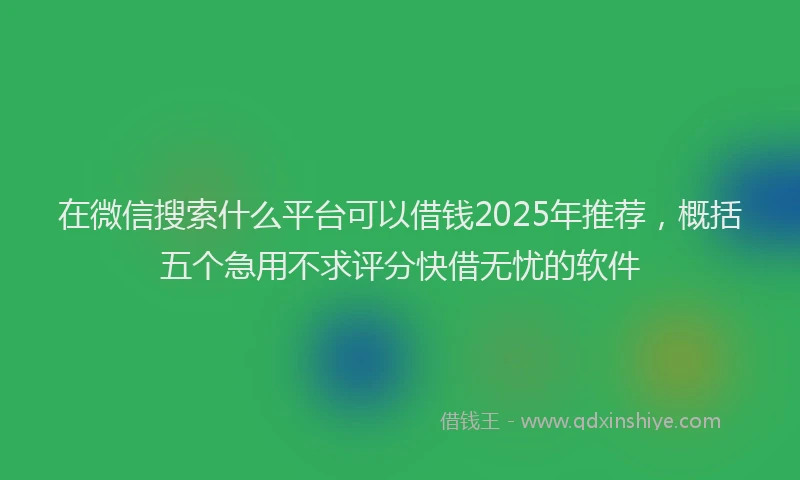 在微信搜索什么平台可以借钱2025年推荐，概括五个急用不求评分快借无忧的软件