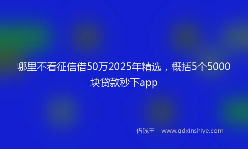哪里不看征信借50万2025年精选，概括5个5000块贷款秒下app