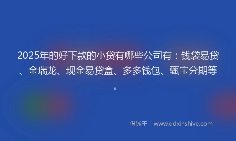 2025年的好下款的小贷有哪些公司有：钱袋易贷、金瑞龙、现金易贷盒、多多钱包、甄宝分期等。