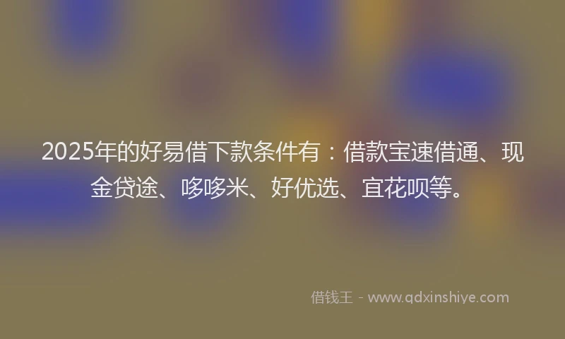 2025年的好易借下款条件有：借款宝速借通、现金贷途、哆哆米、好优选、宜花呗等。