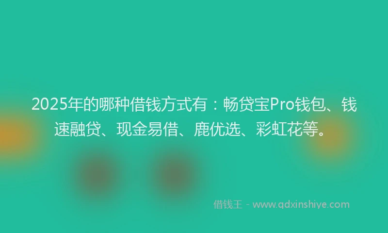 2025年的哪种借钱方式有：畅贷宝Pro钱包、钱速融贷、现金易借、鹿优选、彩虹花等。