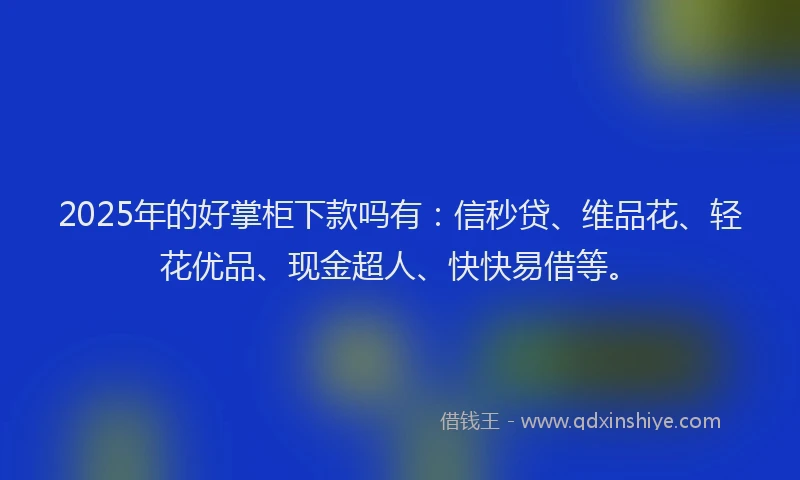 2025年的好掌柜下款吗有：信秒贷、维品花、轻花优品、现金超人、快快易借等。