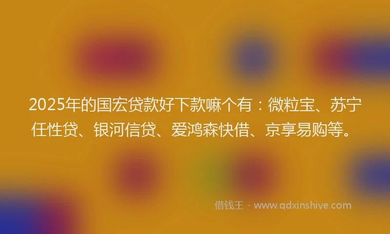 2025年的国宏贷款好下款嘛个有：微粒宝、苏宁任性贷、银河信贷、爱鸿森快借、京享易购等。