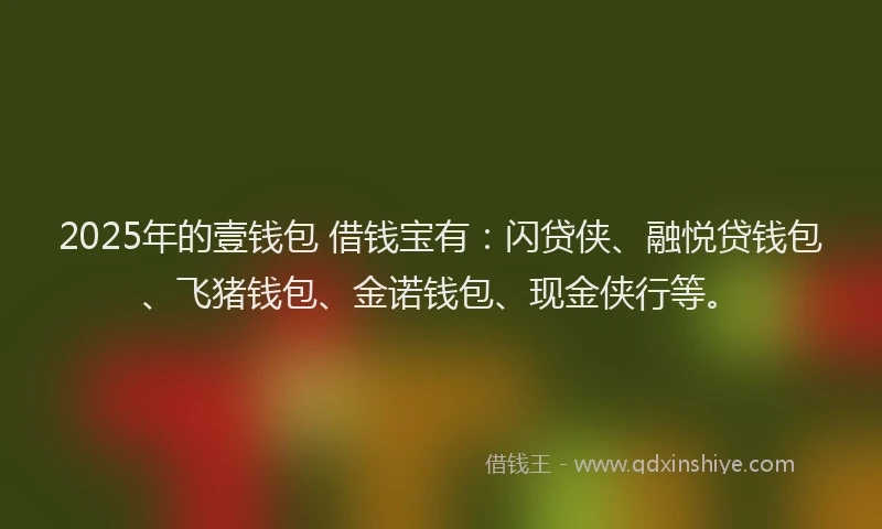 2025年的壹钱包 借钱宝有：闪贷侠、融悦贷钱包、飞猪钱包、金诺钱包、现金侠行等。