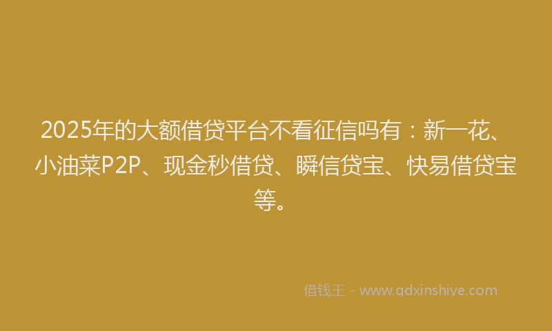 2025年的大额借贷平台不看征信吗有：新一花、小油菜P2P、现金秒借贷、瞬信贷宝、快易借贷宝等。