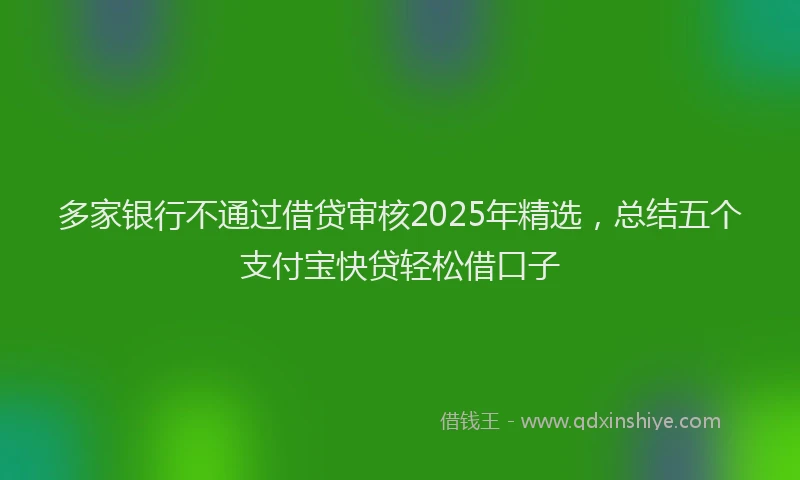 多家银行不通过借贷审核2025年精选，总结五个支付宝快贷轻松借口子