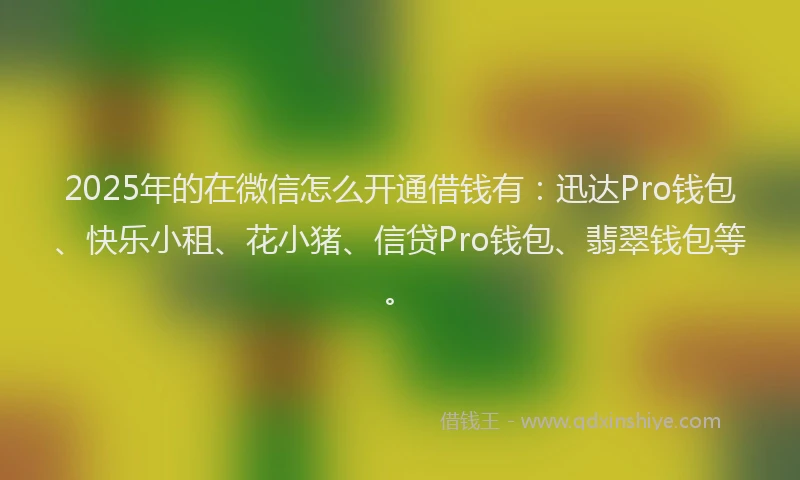 2025年的在微信怎么开通借钱有：迅达Pro钱包、快乐小租、花小猪、信贷Pro钱包、翡翠钱包等。