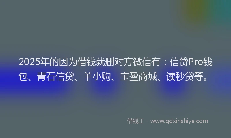 2025年的因为借钱就删对方微信有：信贷Pro钱包、青石信贷、羊小购、宝盈商城、读秒贷等。