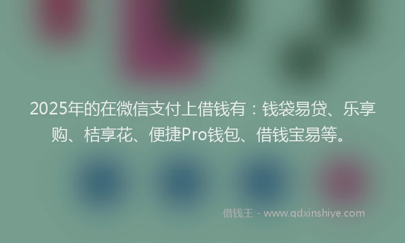 2025年的在微信支付上借钱有：钱袋易贷、乐享购、桔享花、便捷Pro钱包、借钱宝易等。