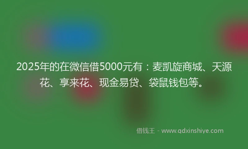 2025年的在微信借5000元有：麦凯旋商城、天源花、享来花、现金易贷、袋鼠钱包等。