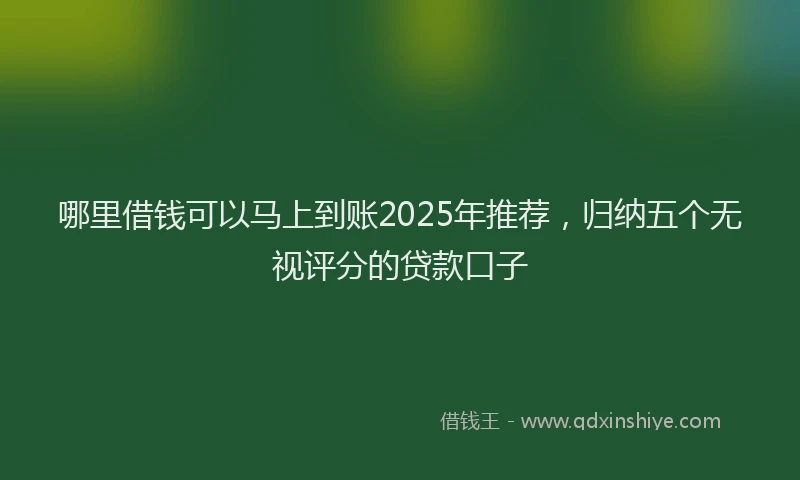 哪里借钱可以马上到账2025年推荐，归纳五个无视评分的贷款口子