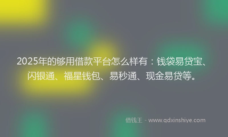 2025年的够用借款平台怎么样有：钱袋易贷宝、闪银通、福星钱包、易秒通、现金易贷等。