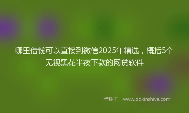 哪里借钱可以直接到微信2025年精选，概括5个无视黑花半夜下款的网贷软件