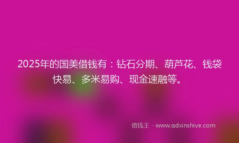 2025年的国美借钱有：钻石分期、葫芦花、钱袋快易、多米易购、现金速融等。