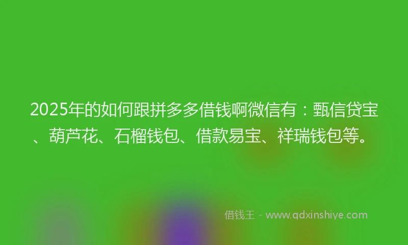 2025年的如何跟拼多多借钱啊微信有：甄信贷宝、葫芦花、石榴钱包、借款易宝、祥瑞钱包等。