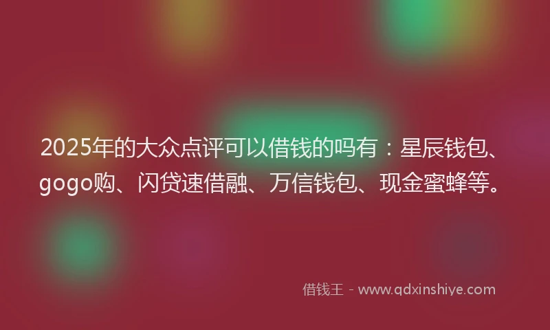2025年的大众点评可以借钱的吗有：星辰钱包、gogo购、闪贷速借融、万信钱包、现金蜜蜂等。