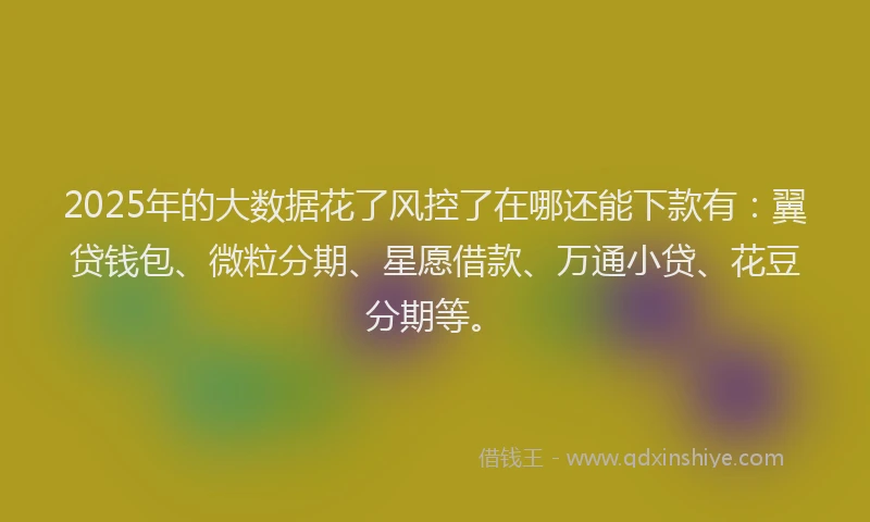 2025年的大数据花了风控了在哪还能下款有：翼贷钱包、微粒分期、星愿借款、万通小贷、花豆分期等。