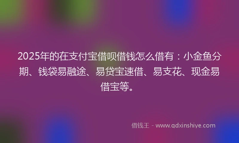 2025年的在支付宝借呗借钱怎么借有：小金鱼分期、钱袋易融途、易贷宝速借、易支花、现金易借宝等。