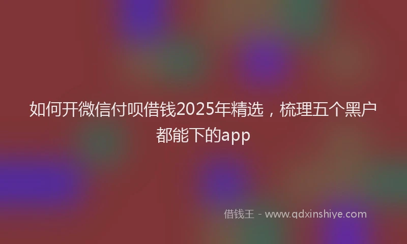 如何开微信付呗借钱2025年精选，梳理五个黑户都能下的app