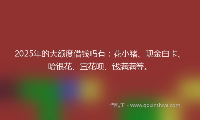 2025年的大额度借钱吗有：花小猪、现金白卡、哈银花、宜花呗、钱满满等。