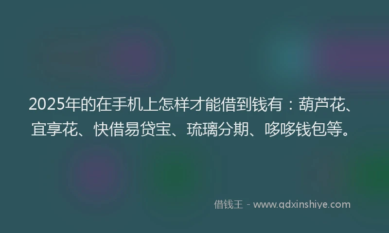 2025年的在手机上怎样才能借到钱有：葫芦花、宜享花、快借易贷宝、琉璃分期、哆哆钱包等。