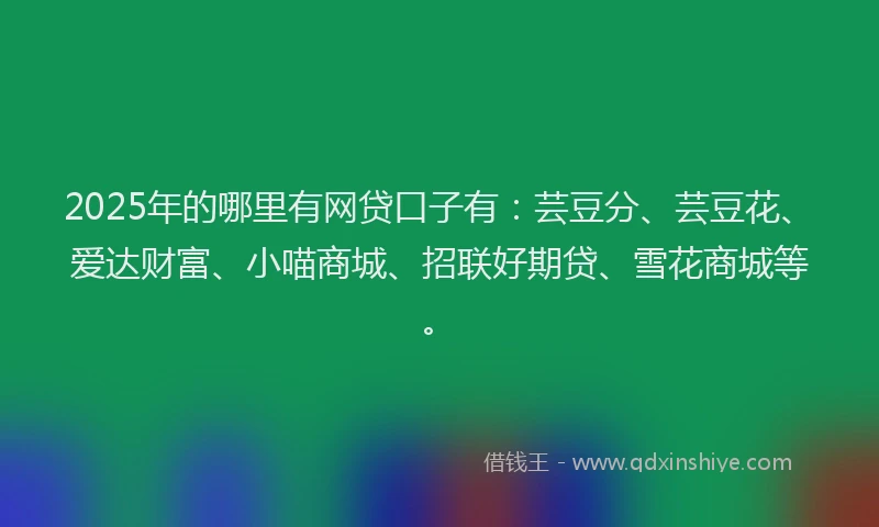 2025年的哪里有网贷口子有：芸豆分、芸豆花、爱达财富、小喵商城、招联好期贷、雪花商城等。