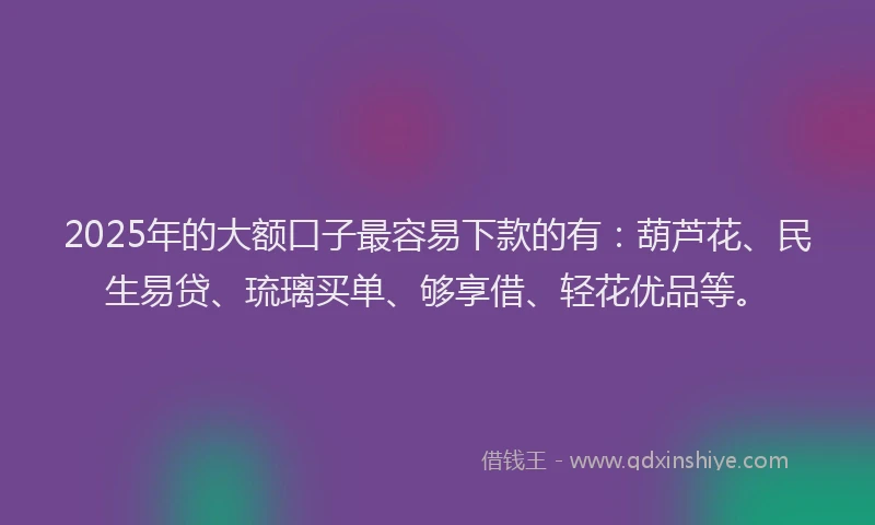 2025年的大额口子最容易下款的有：葫芦花、民生易贷、琉璃买单、够享借、轻花优品等。