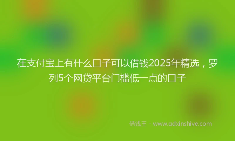 在支付宝上有什么口子可以借钱2025年精选，罗列5个网贷平台门槛低一点的口子