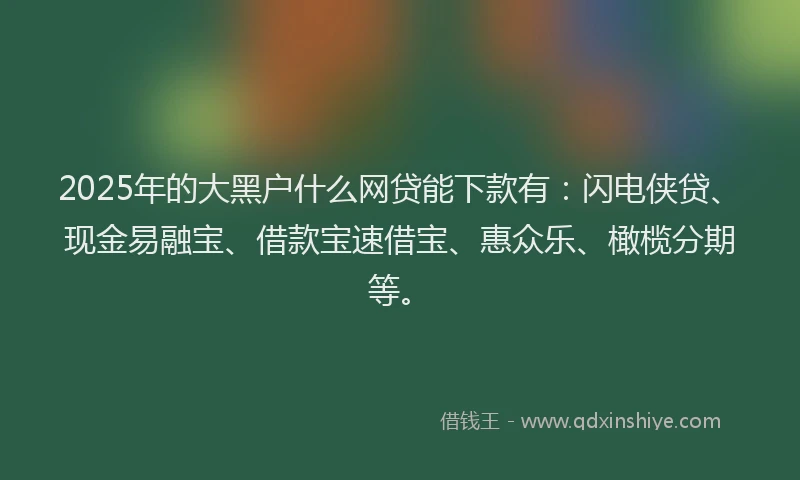 2025年的大黑户什么网贷能下款有：闪电侠贷、现金易融宝、借款宝速借宝、惠众乐、橄榄分期等。