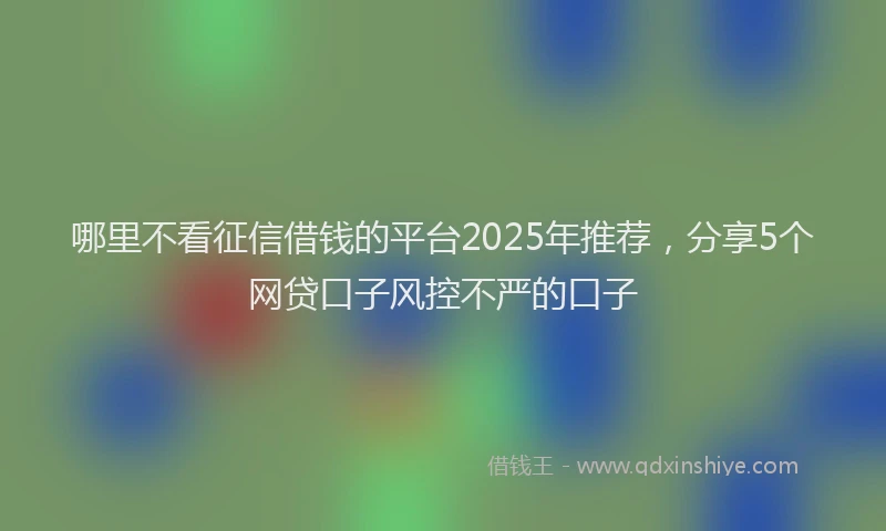 哪里不看征信借钱的平台2025年推荐，分享5个网贷口子风控不严的口子