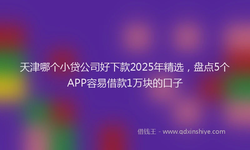 天津哪个小贷公司好下款2025年精选，盘点5个APP容易借款1万块的口子
