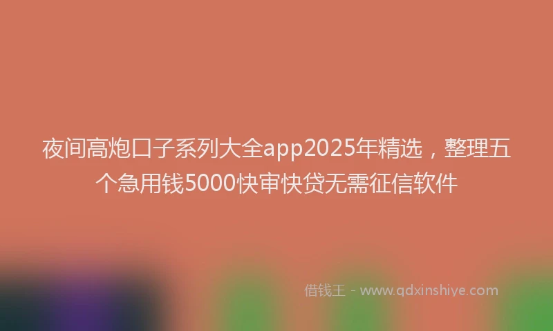 夜间高炮口子系列大全app2025年精选，整理五个急用钱5000快审快贷无需征信软件