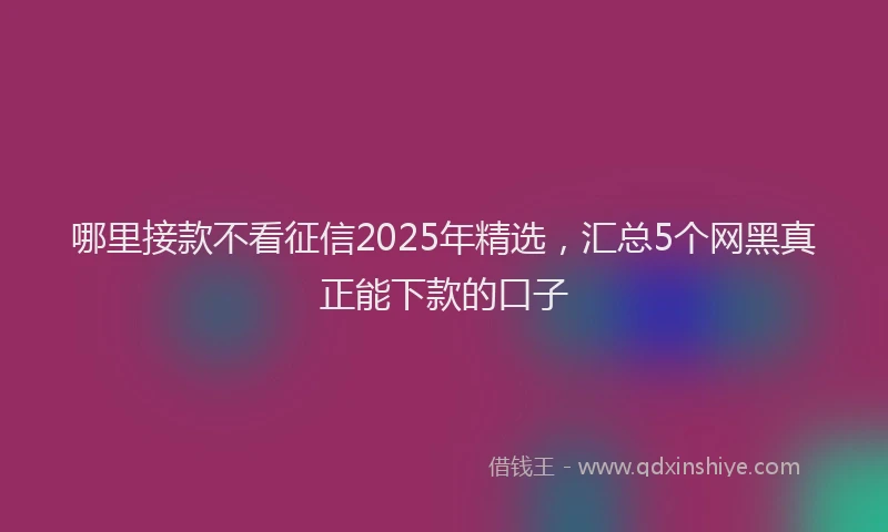 哪里接款不看征信2025年精选，汇总5个网黑真正能下款的口子