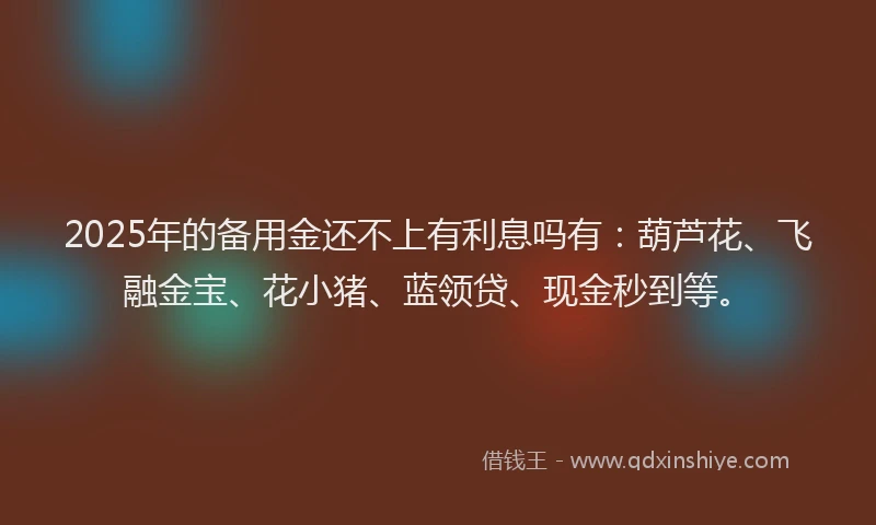 2025年的备用金还不上有利息吗有：葫芦花、飞融金宝、花小猪、蓝领贷、现金秒到等。