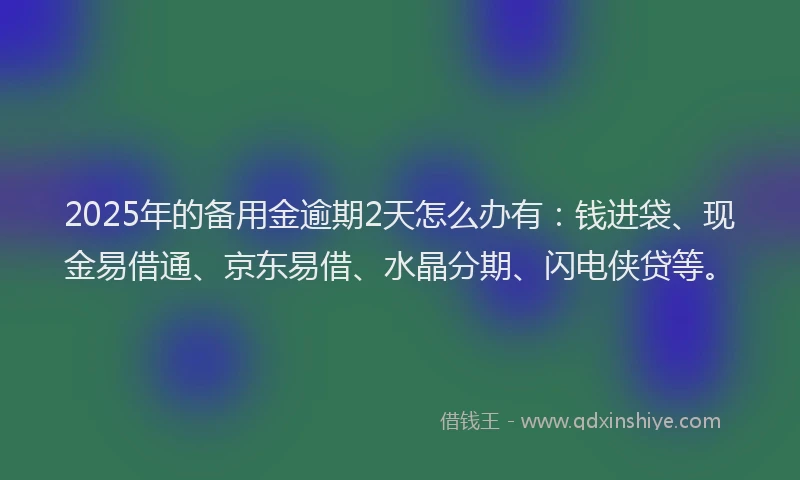 2025年的备用金逾期2天怎么办有：钱进袋、现金易借通、京东易借、水晶分期、闪电侠贷等。