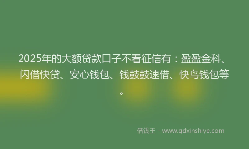 2025年的大额贷款口子不看征信有：盈盈金科、闪借快贷、安心钱包、钱鼓鼓速借、快鸟钱包等。