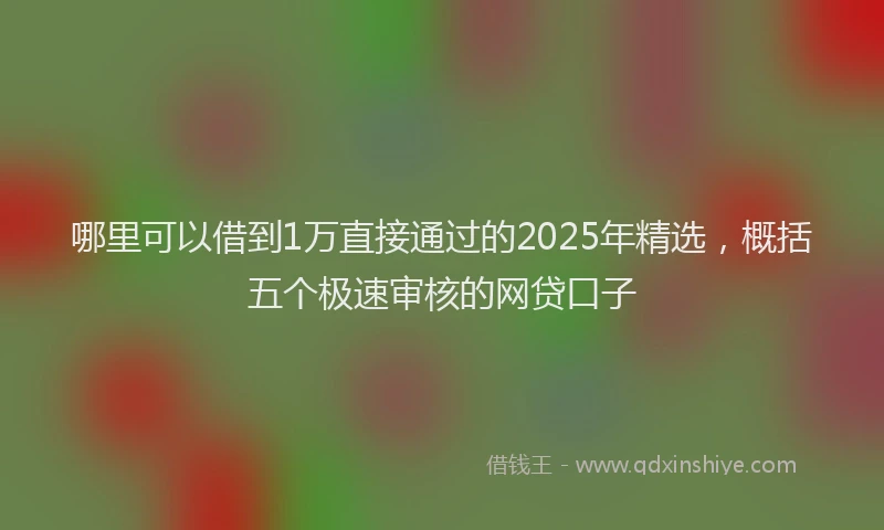 哪里可以借到1万直接通过的2025年精选，概括五个极速审核的网贷口子