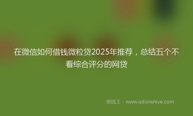 在微信如何借钱微粒贷2025年推荐，总结五个不看综合评分的网贷