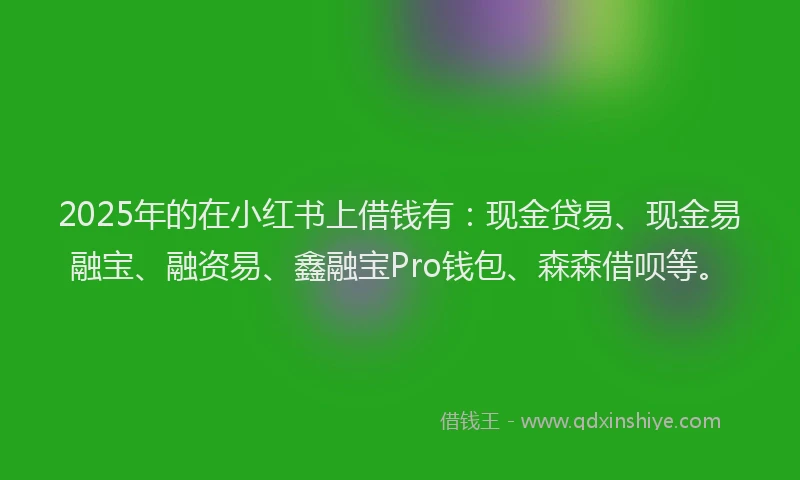 2025年的在小红书上借钱有：现金贷易、现金易融宝、融资易、鑫融宝Pro钱包、森森借呗等。