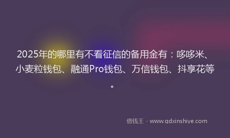 2025年的哪里有不看征信的备用金有：哆哆米、小麦粒钱包、融通Pro钱包、万信钱包、抖享花等。