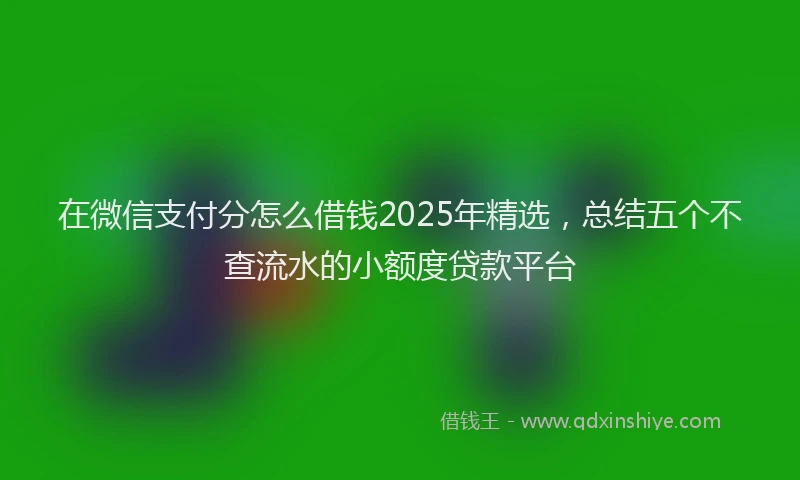 在微信支付分怎么借钱2025年精选，总结五个不查流水的小额度贷款平台