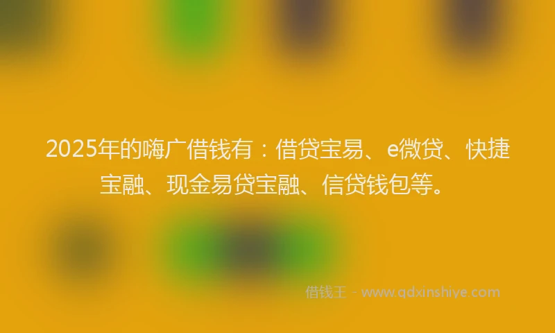 2025年的嗨广借钱有：借贷宝易、e微贷、快捷宝融、现金易贷宝融、信贷钱包等。