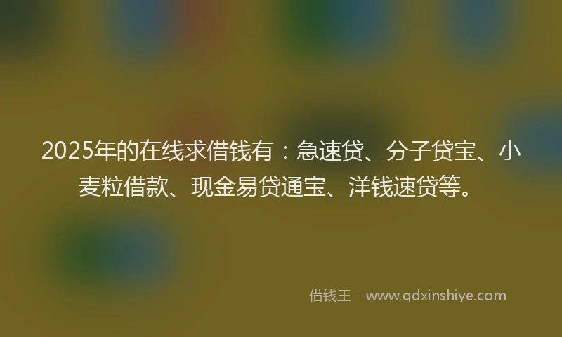 2025年的在线求借钱有：急速贷、分子贷宝、小麦粒借款、现金易贷通宝、洋钱速贷等。