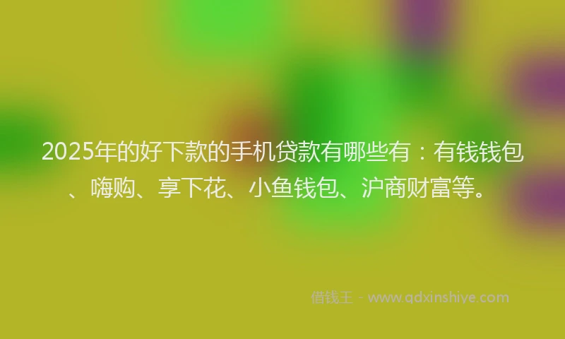 2025年的好下款的手机贷款有哪些有：有钱钱包、嗨购、享下花、小鱼钱包、沪商财富等。