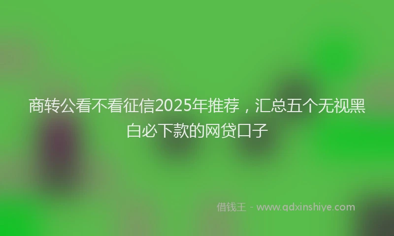 商转公看不看征信2025年推荐，汇总五个无视黑白必下款的网贷口子