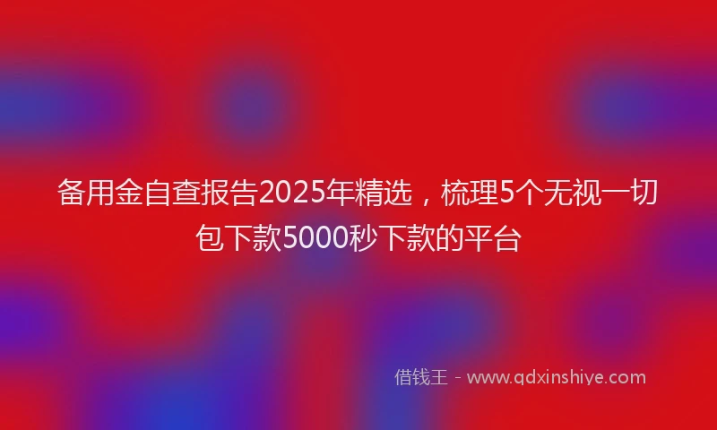备用金自查报告2025年精选，梳理5个无视一切包下款5000秒下款的平台