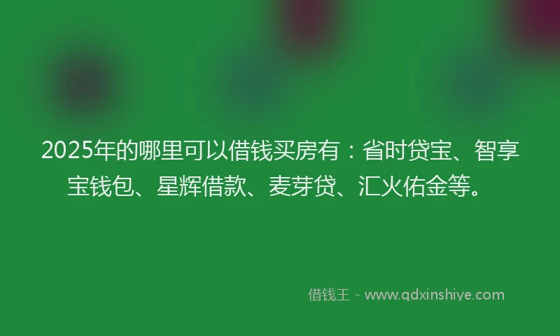 2025年的哪里可以借钱买房有：省时贷宝、智享宝钱包、星辉借款、麦芽贷、汇火佑金等。