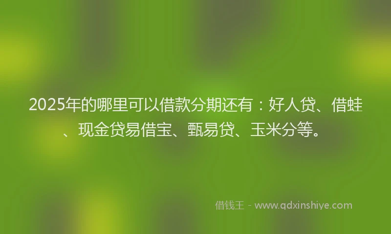 2025年的哪里可以借款分期还有：好人贷、借蛙、现金贷易借宝、甄易贷、玉米分等。