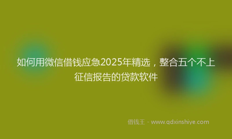 如何用微信借钱应急2025年精选，整合五个不上征信报告的贷款软件